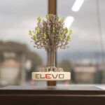 Galleria-weletech--50949_1