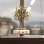 elevo (3)