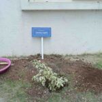 syrma_sgs_elemaster_jv_inauguration_bengaluru_karnataka-60